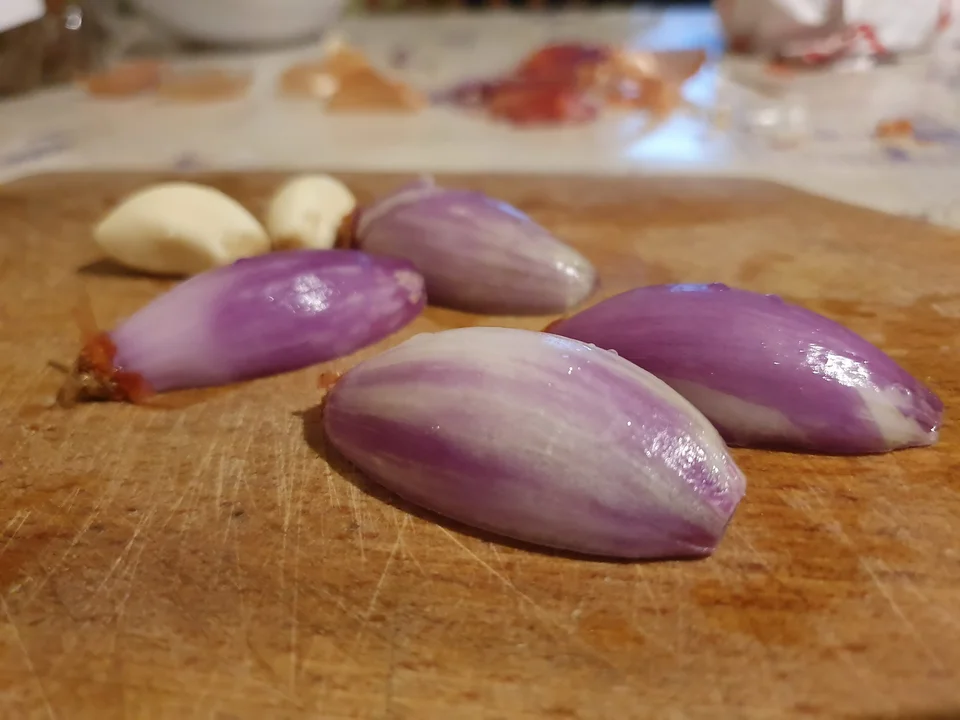 Risotto ai frutti di mare 11